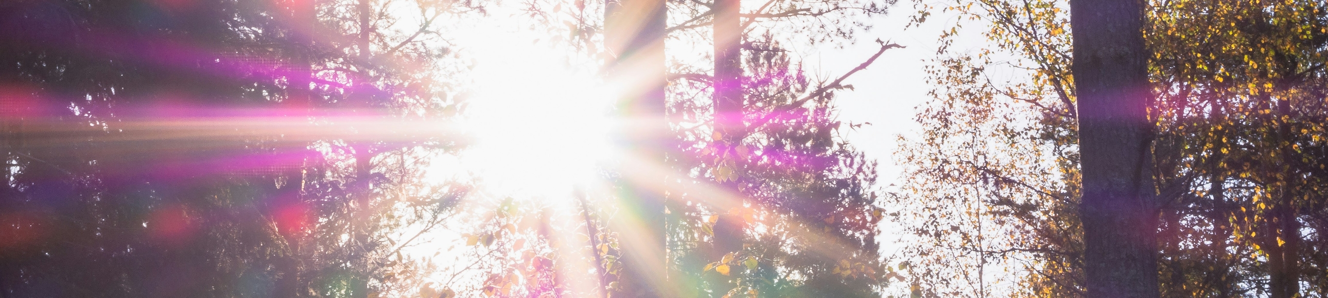 内臓波動色彩光線療法